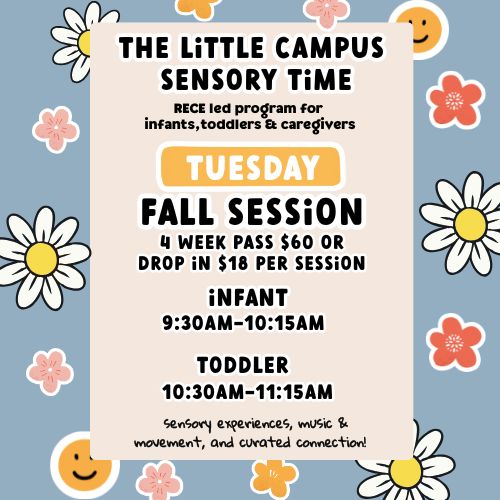 The Little Campus Series