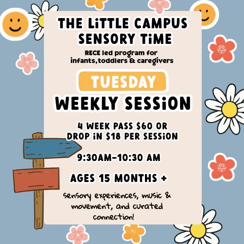 The Little Campus Series