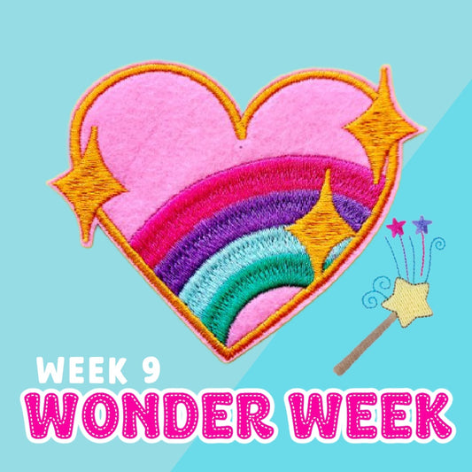 Summer Camp Week 9: Wonder Week (Aug 24–28)